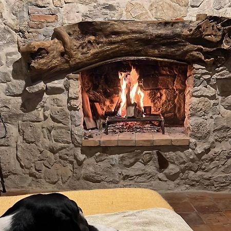 Apartmán La Casa Del Teatro Campiglia dʼOrcia Exteriér fotografie